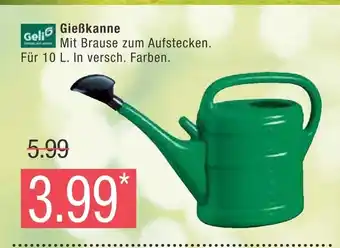 Marktkauf Geli gießkanne Angebot