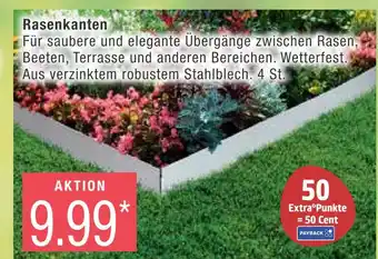 Marktkauf Rasenkanten Angebot