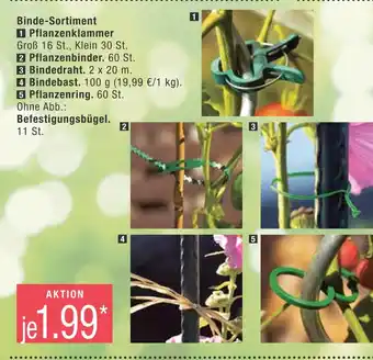 Marktkauf Binde-sortiment Angebot