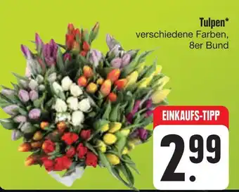 E-Center Tulpen Angebot