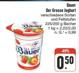 nah & gut Bauer der grosse joghurt Angebot