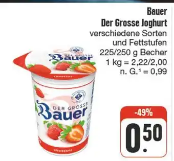 nah & gut Bauer der grosse joghurt Angebot