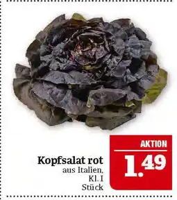 Marktkauf Kopfsalat rot Angebot