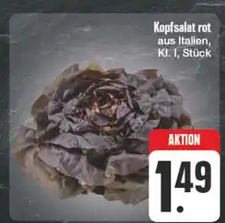 Edeka Kopfsalat rot Angebot