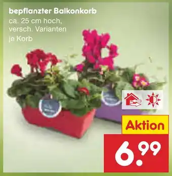 Netto Marken-Discount Bepflanzter balkonkorb Angebot