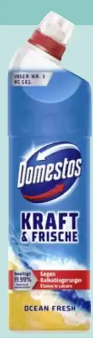 Edeka Domestos Aktiv Kraft WC Gel Angebot