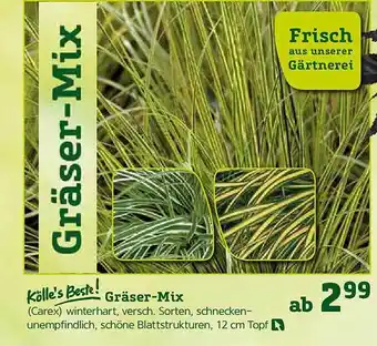 Pflanzen Kölle Kölle's Beste! Gräser-mix Angebot