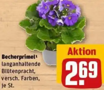 REWE Becherprimel Angebot