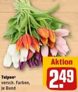 REWE Tulpen Angebot