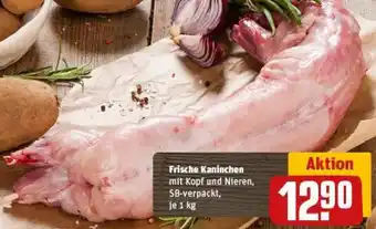 REWE Frische Kaninchen Angebot