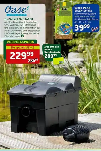 Pflanzen Kölle Oase Biosmart-Set 14000 Angebot