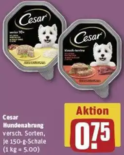 REWE Cesar Hundenahrung Angebot