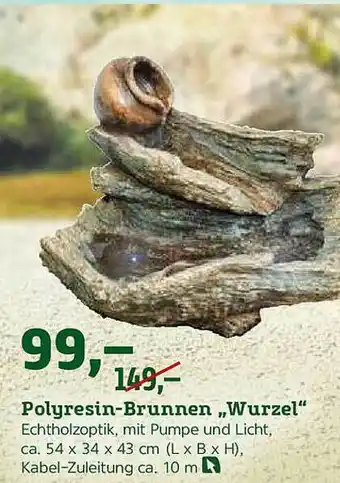 Pflanzen Kölle Polyresin-Brunnen „Wurzel” Angebot