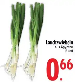 Edeka Lauchzwiebeln Angebot