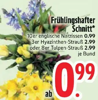 Edeka Frühlingshafter Schnitt Angebot