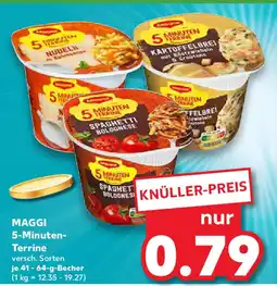 Kaufland MAGGI 5-Minuten- Terrine Angebot