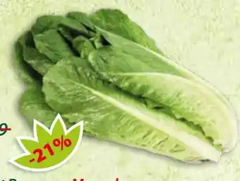 Hepsi-Markt Salat Romana Mavrul Angebot