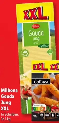 Lidl Milbona Gouda Jung XXL Angebot