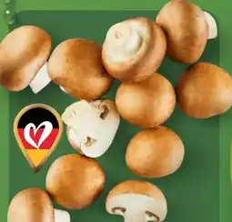 Aldi Nord Kulturchampignons Angebot