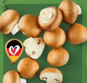 Aldi Nord Kulturchampignons Angebot