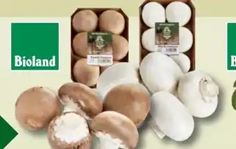 Edeka Unsere Heimat Echt & Gut Bio-Champignons Angebot