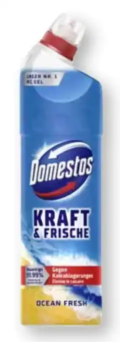 Scheck-in-Center Domestos Aktiv Kraft WC Gel Angebot