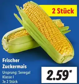 Lidl Frischer Zuckermais Angebot