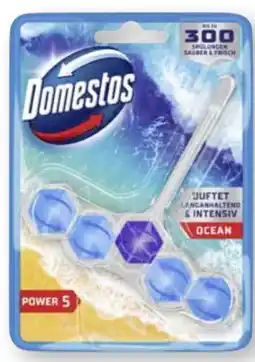 Scheck-in-Center Domestos WC Stein Power 5 Ocean Angebot