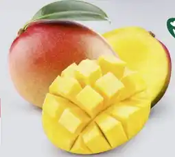 Edeka Gut & Günstig Mango Angebot