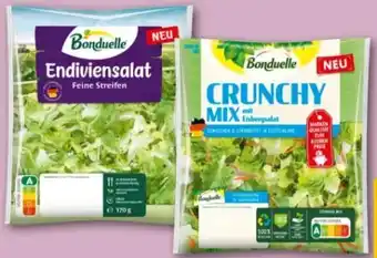 REWE Bonduelle Endiviensalat Angebot