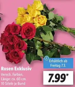 Lidl Rosen Exklusiv Angebot