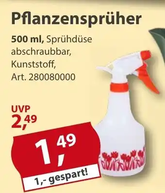 Sonderpreis Baumarkt Pflanzensprüher Angebot