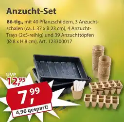 Sonderpreis Baumarkt Anzucht-Set Angebot