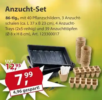 Sonderpreis Baumarkt Anzucht-Set Angebot