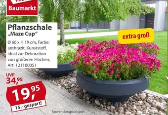 Sonderpreis Baumarkt Pflanzschale ,,Maze Cup" Angebot