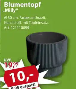 Sonderpreis Baumarkt Blumentopf „Milly" Angebot