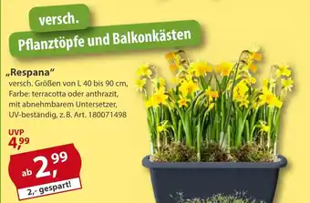 Sonderpreis Baumarkt versch. Pflanztöpfe und Balkonkästen ,,Respana" Angebot