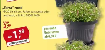 Sonderpreis Baumarkt versch. Pflanztöpfe und Balkonkästen „Terra" rund Angebot