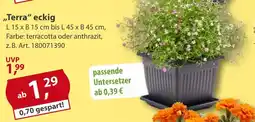 Sonderpreis Baumarkt versch. Pflanztöpfe und Balkonkästen ,,Terra" eckig Angebot