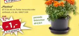 Sonderpreis Baumarkt versch. Pflanztöpfe und Balkonkästen ,,Plastica" Angebot