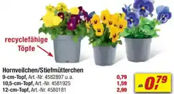 toom Baumarkt Hornveilchen/Stiefmütterchen Angebot