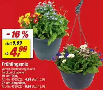 toom Baumarkt Frühlingsmix Angebot