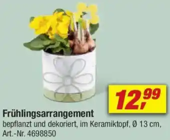 toom Baumarkt Frühlingsarrangement Angebot