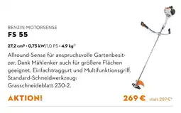 STIHL Benzin-motorsense fs 55 Angebot