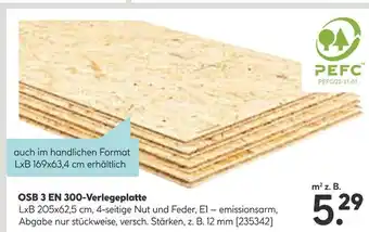 Hellweg Pefc osb 3 en 300-verlegeplatte Angebot