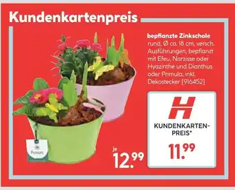 Hellweg Bepflanzte zinkschale Angebot