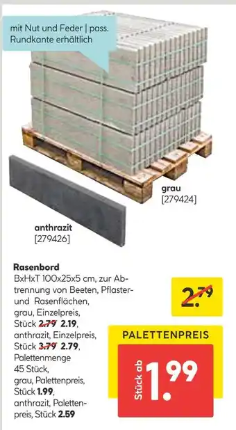 Hellweg Rasenbord Angebot