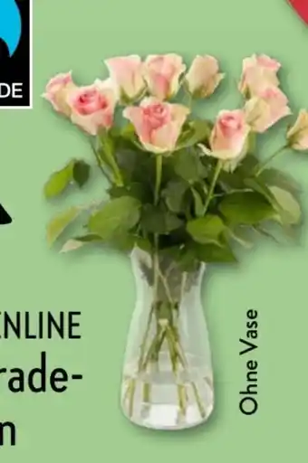 Aldi Nord Gardenline Rosen Angebot