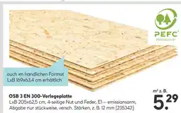 Hellweg Pefc osb 3 en 300-verlegeplatte Angebot