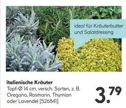 Hellweg Kräuter Angebot